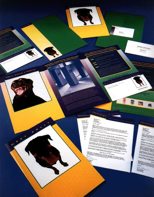 Case study research picture